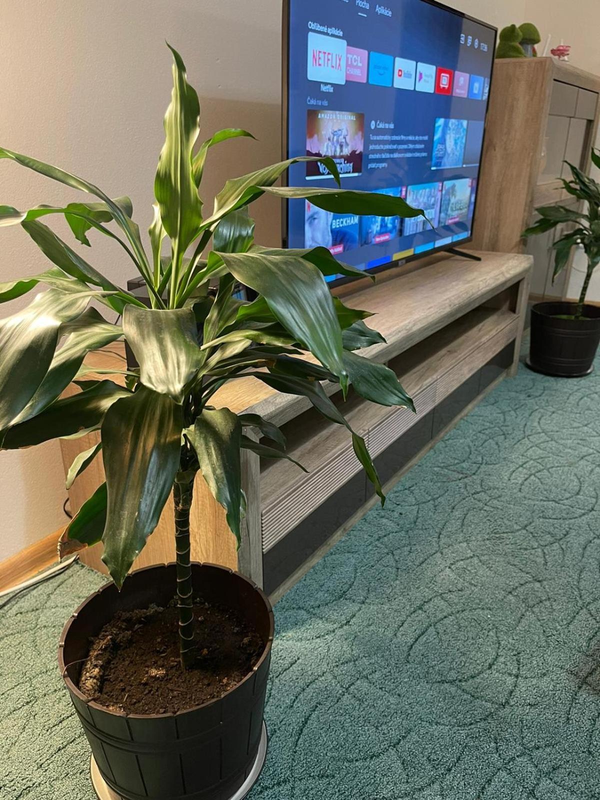 Velky Apartman Pozsony Kültér fotó
